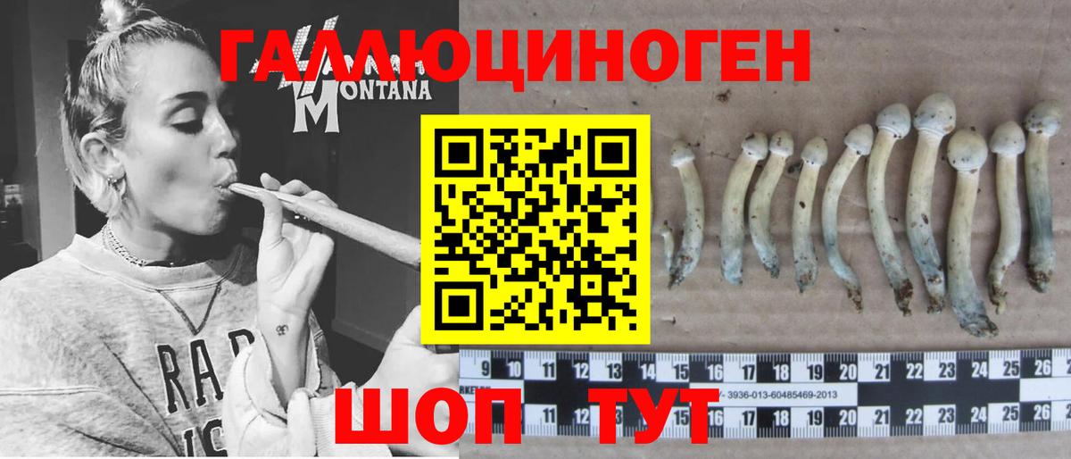 Галлюциногенные грибы прущие грибы  Вход с VPN  продажа наркотиков  Гусиноозёрск 